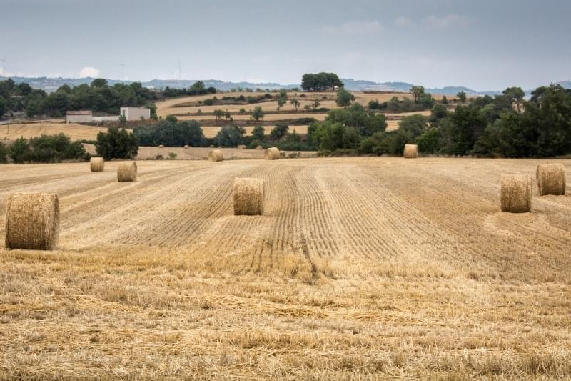 Agricultura