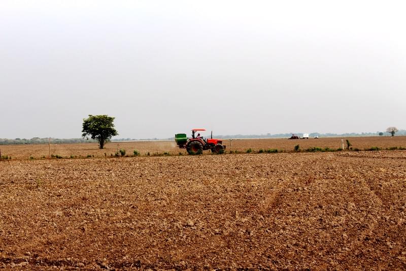 Agricultura