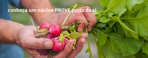 PROVE