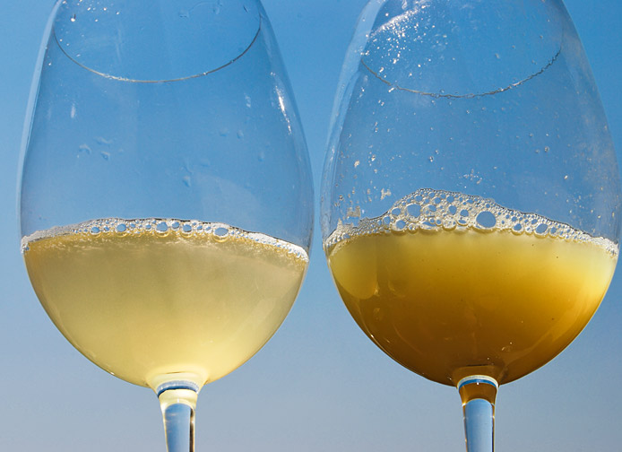 Mosto Branco