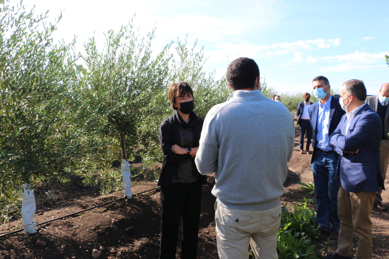 Ministra da Agricultura