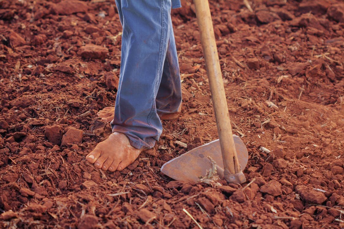 Agricultura