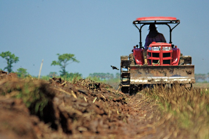 Agricultura