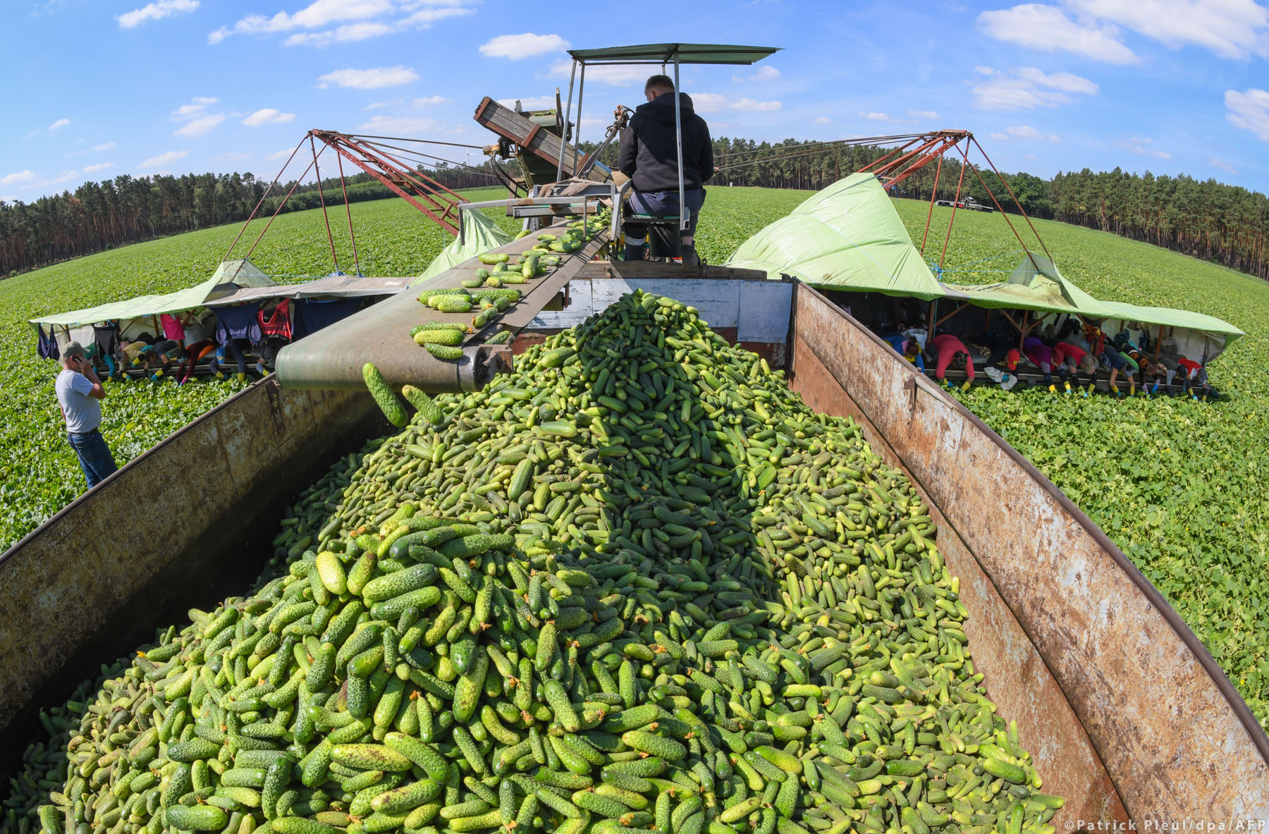 Agricultura
