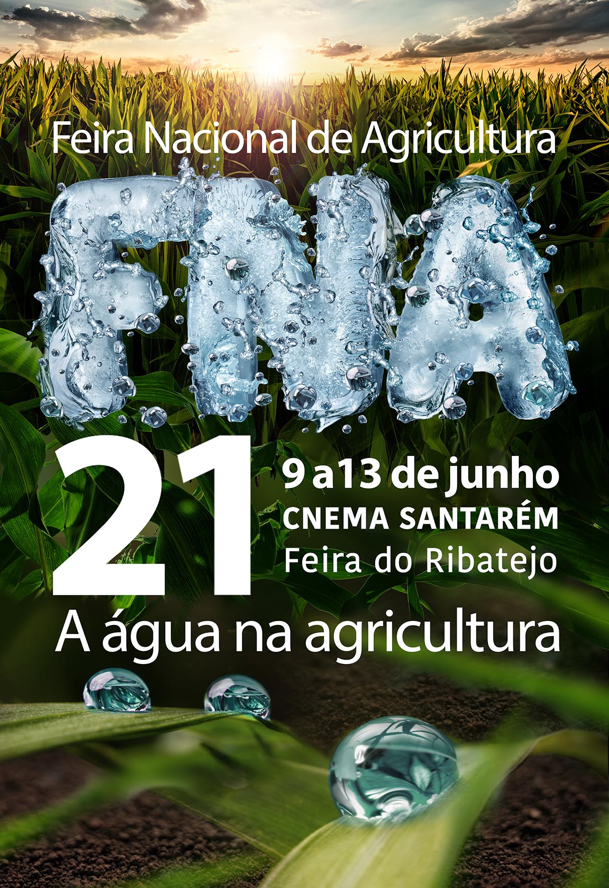 FNA