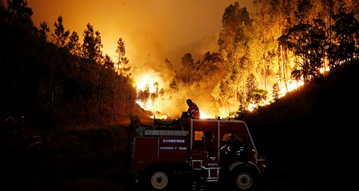 Incêndios agroflorestal