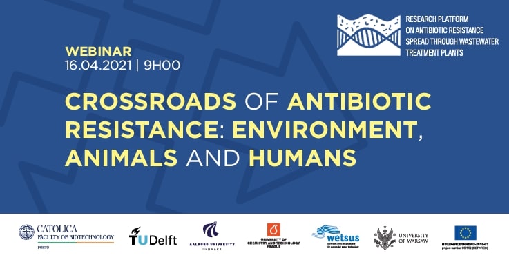 webinar 