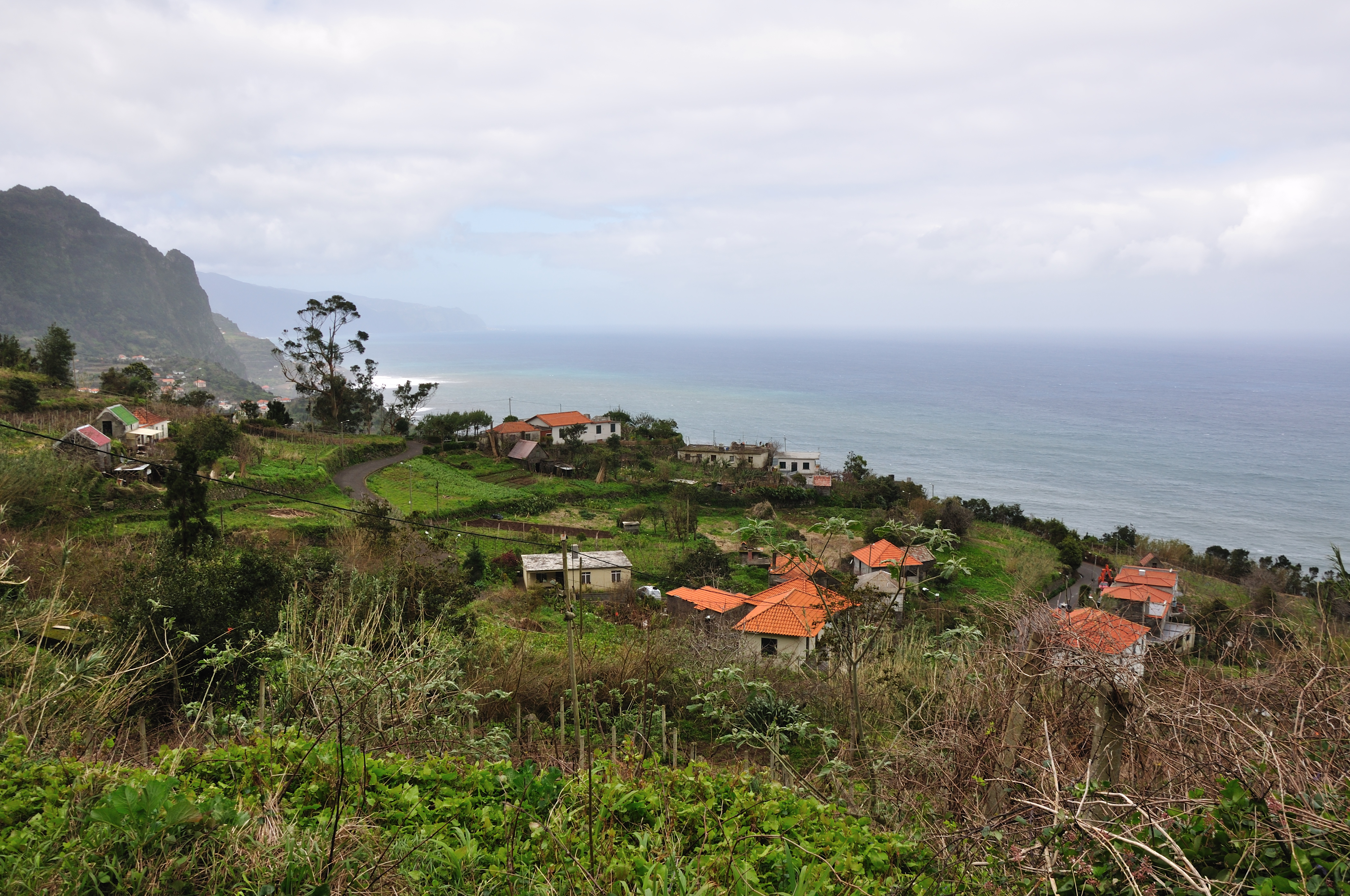 madeira