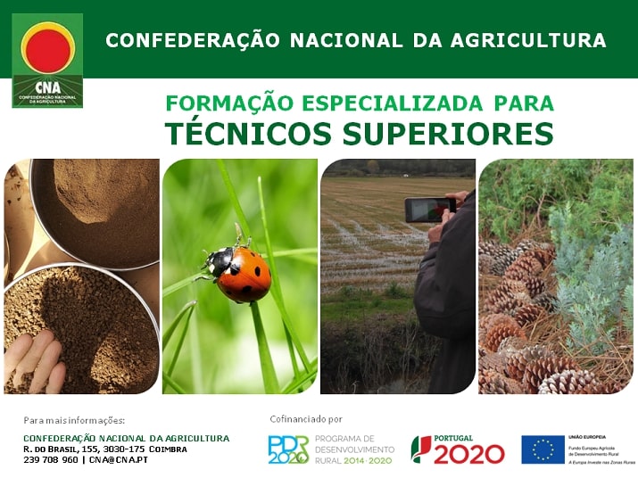Agricultura de precisão