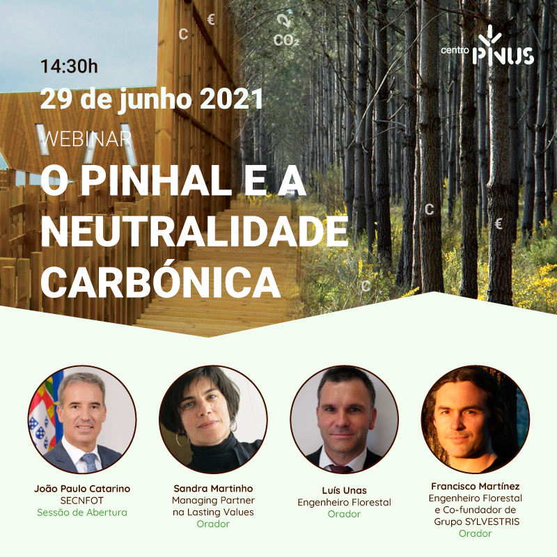 centro pinus