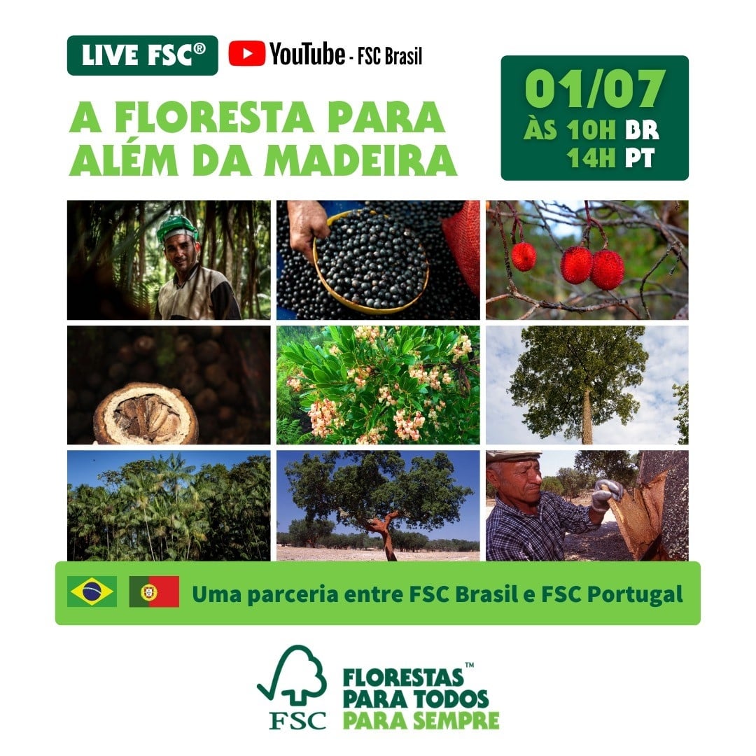 agroflorestal