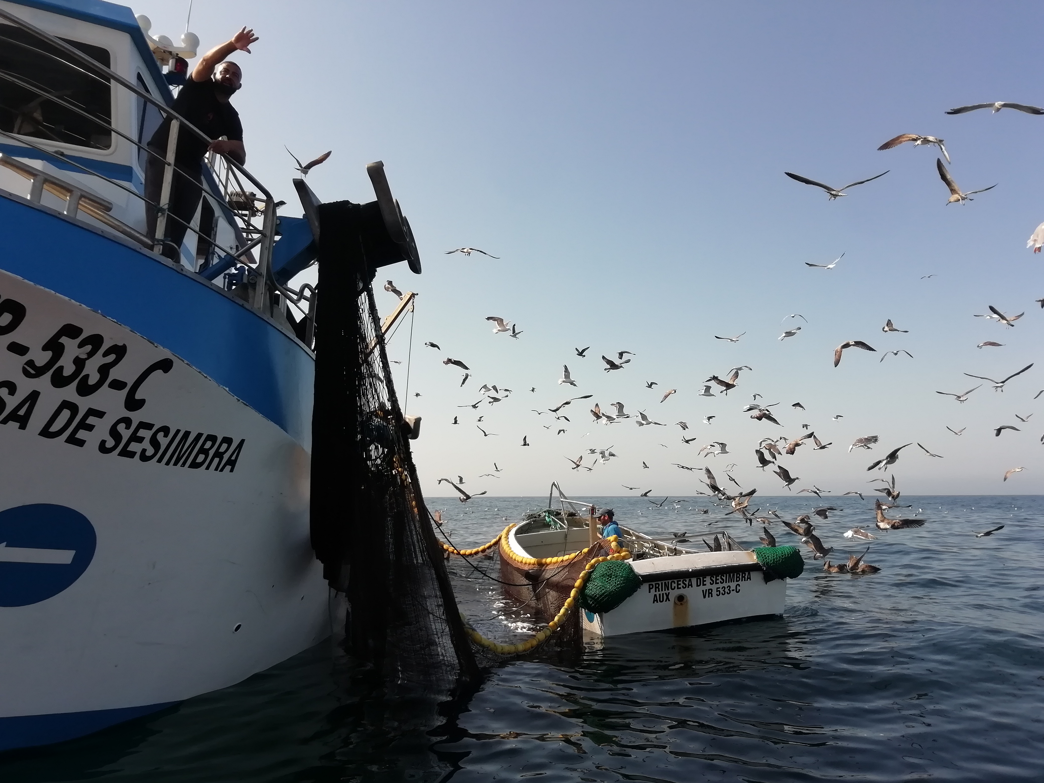 pesca