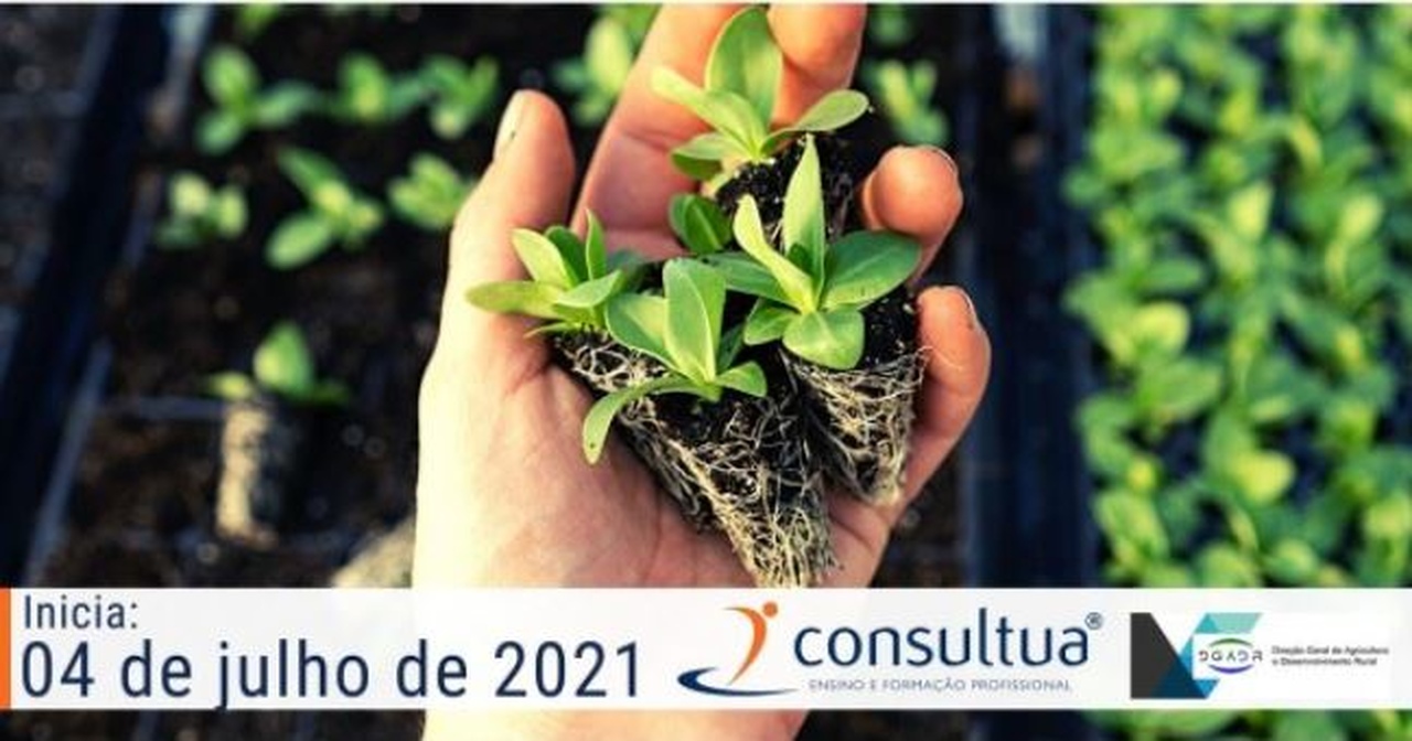 curso