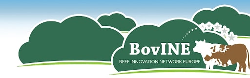 BovINE