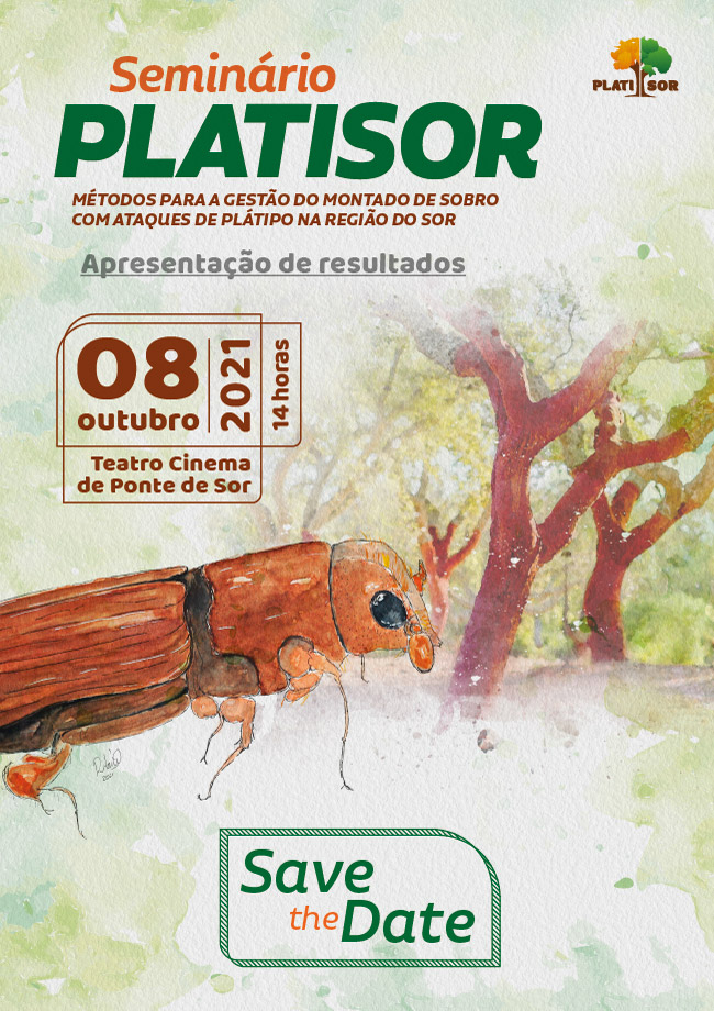 platisor