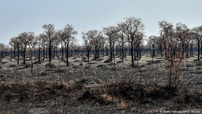 incêndios