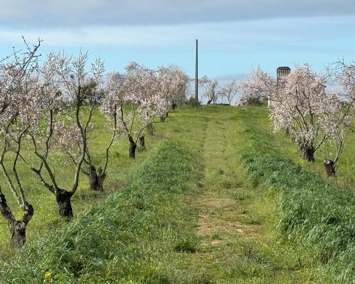 quinta do sampayo