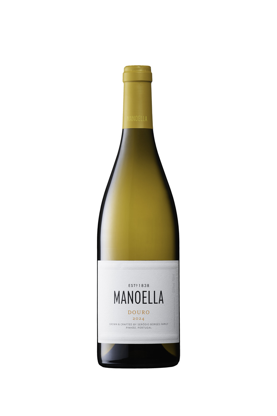 manoella branco 2024