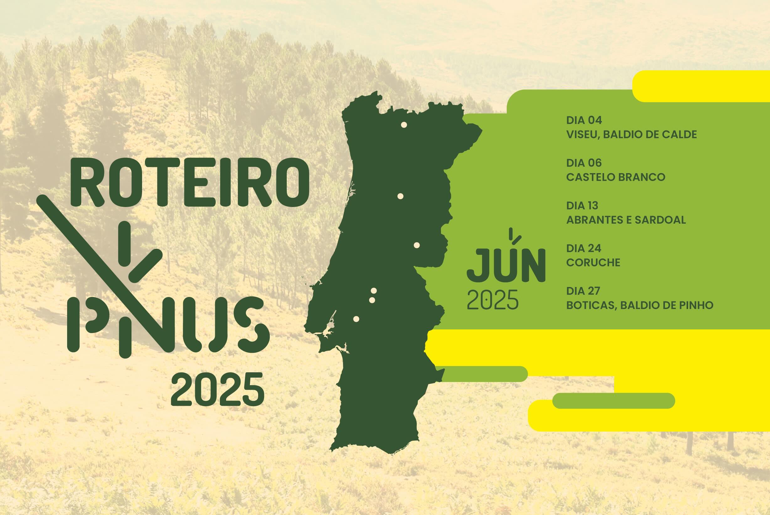 roteiro PINUS