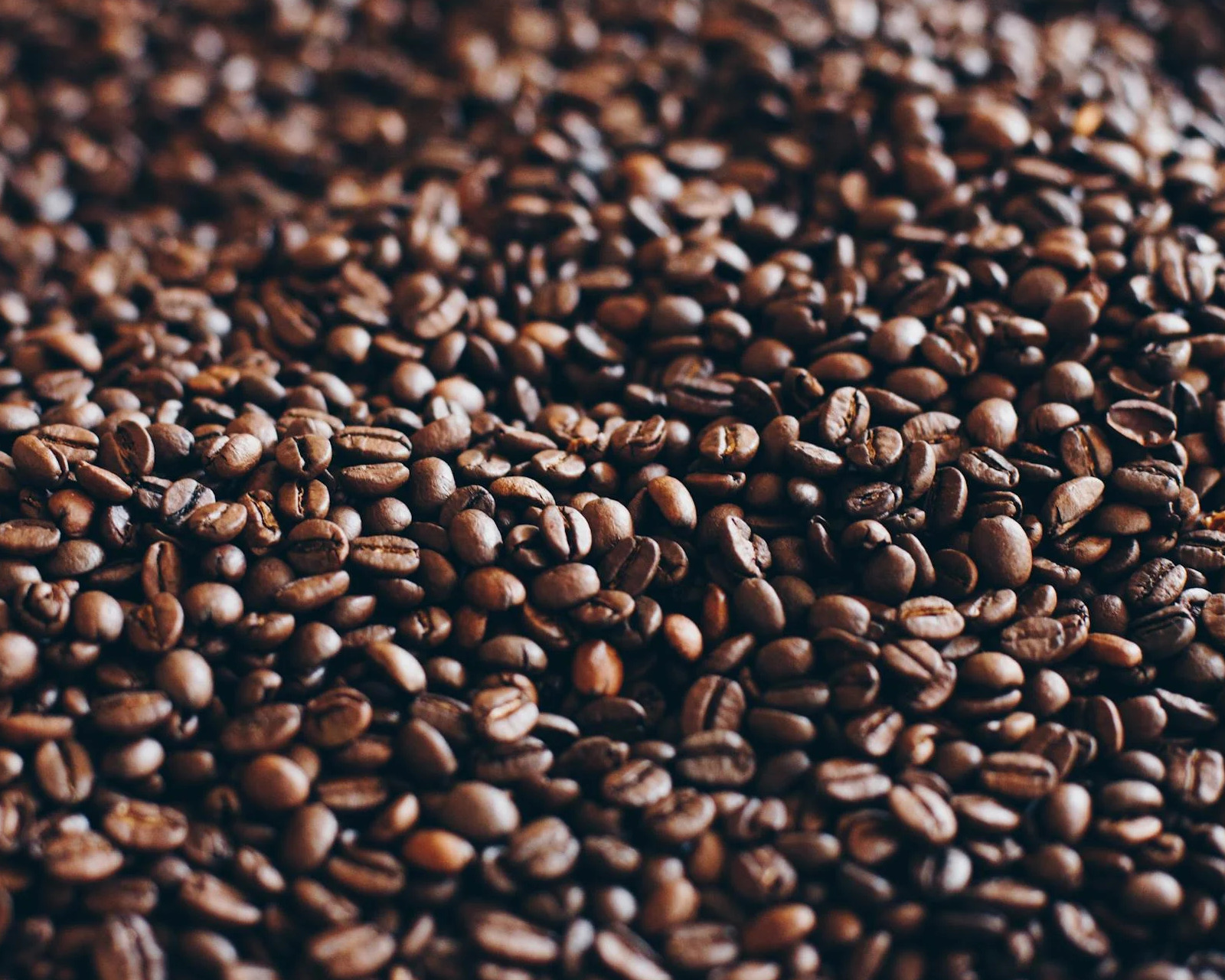 grãos de café