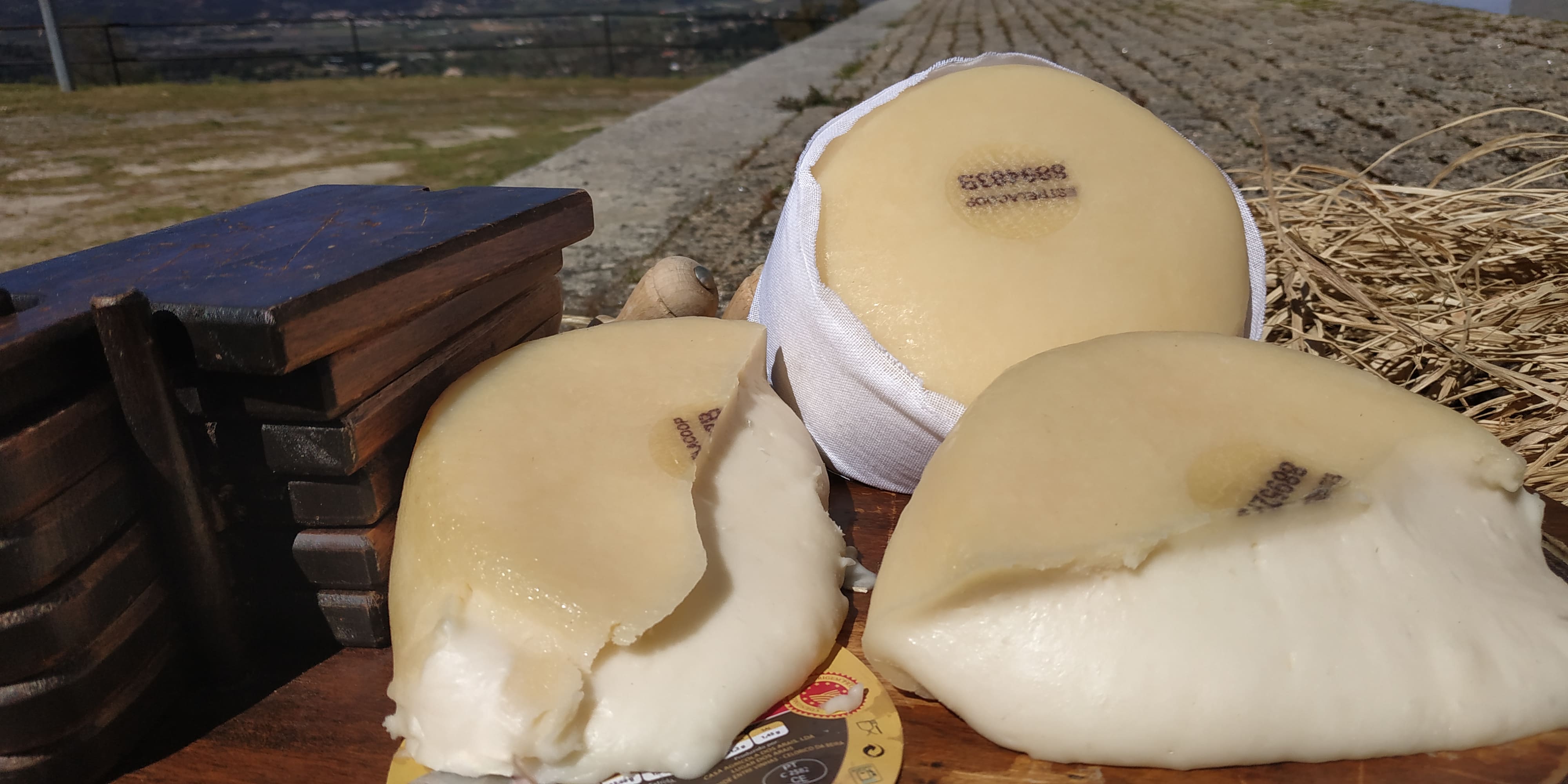 queijo