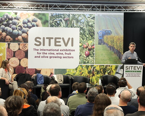 sitevi