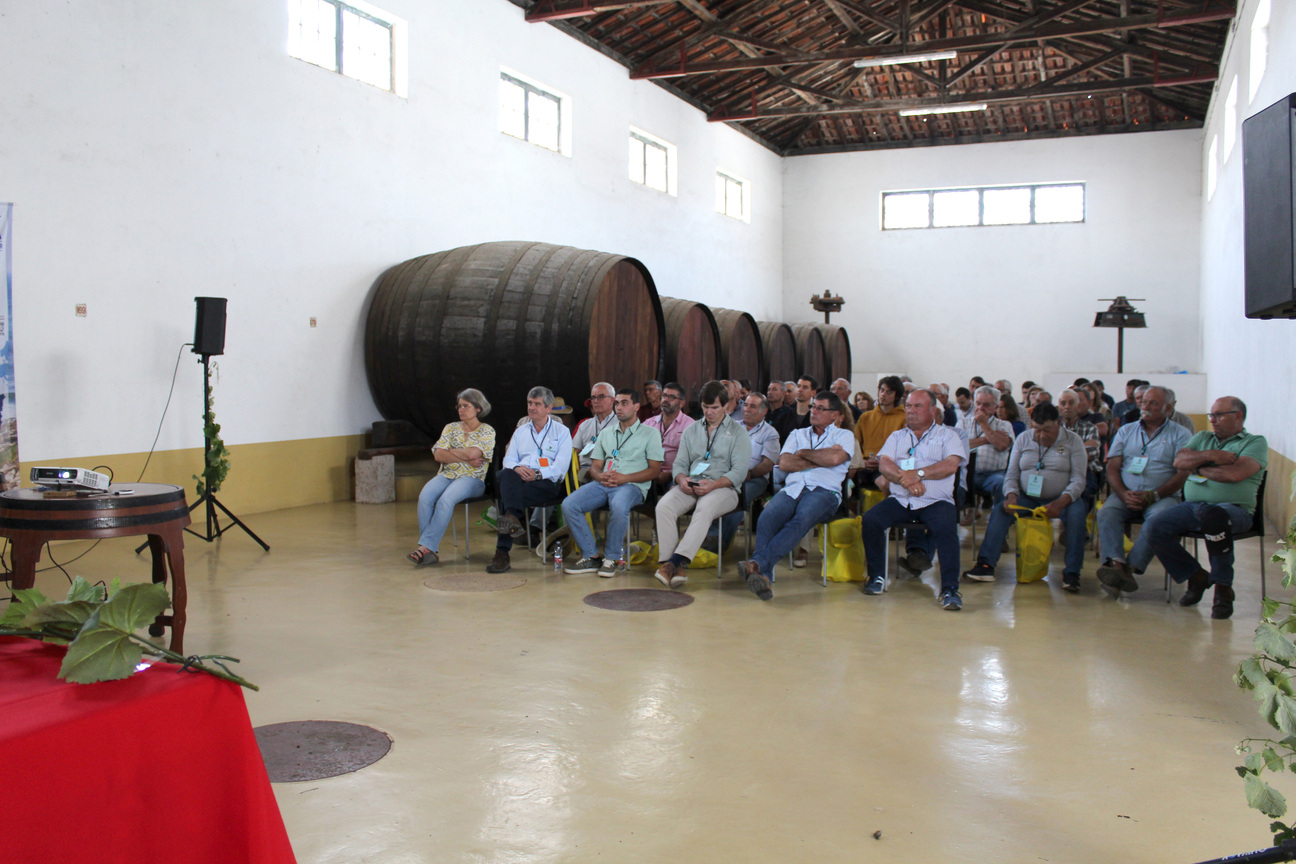 dia do agricultor