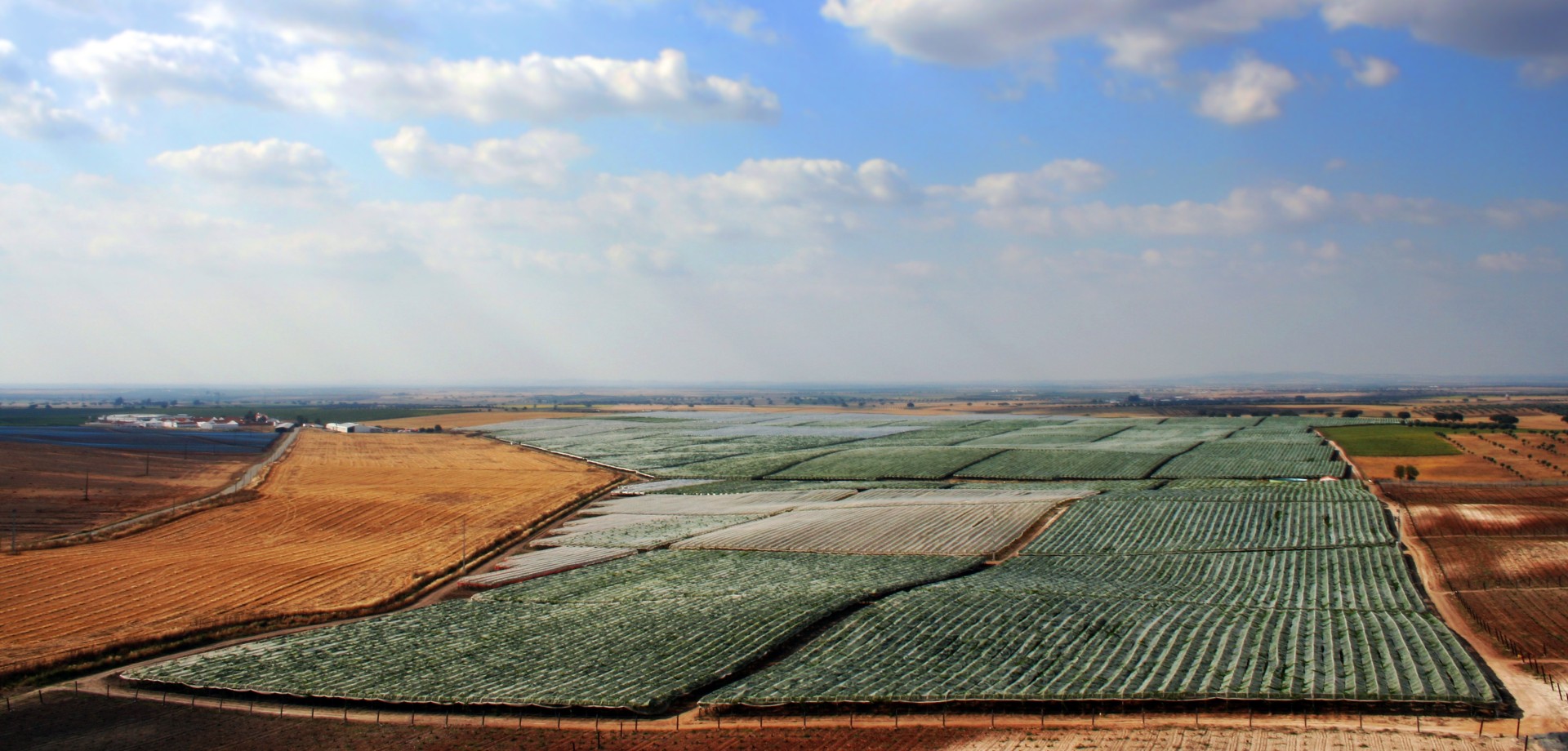 herdade vale da rosa