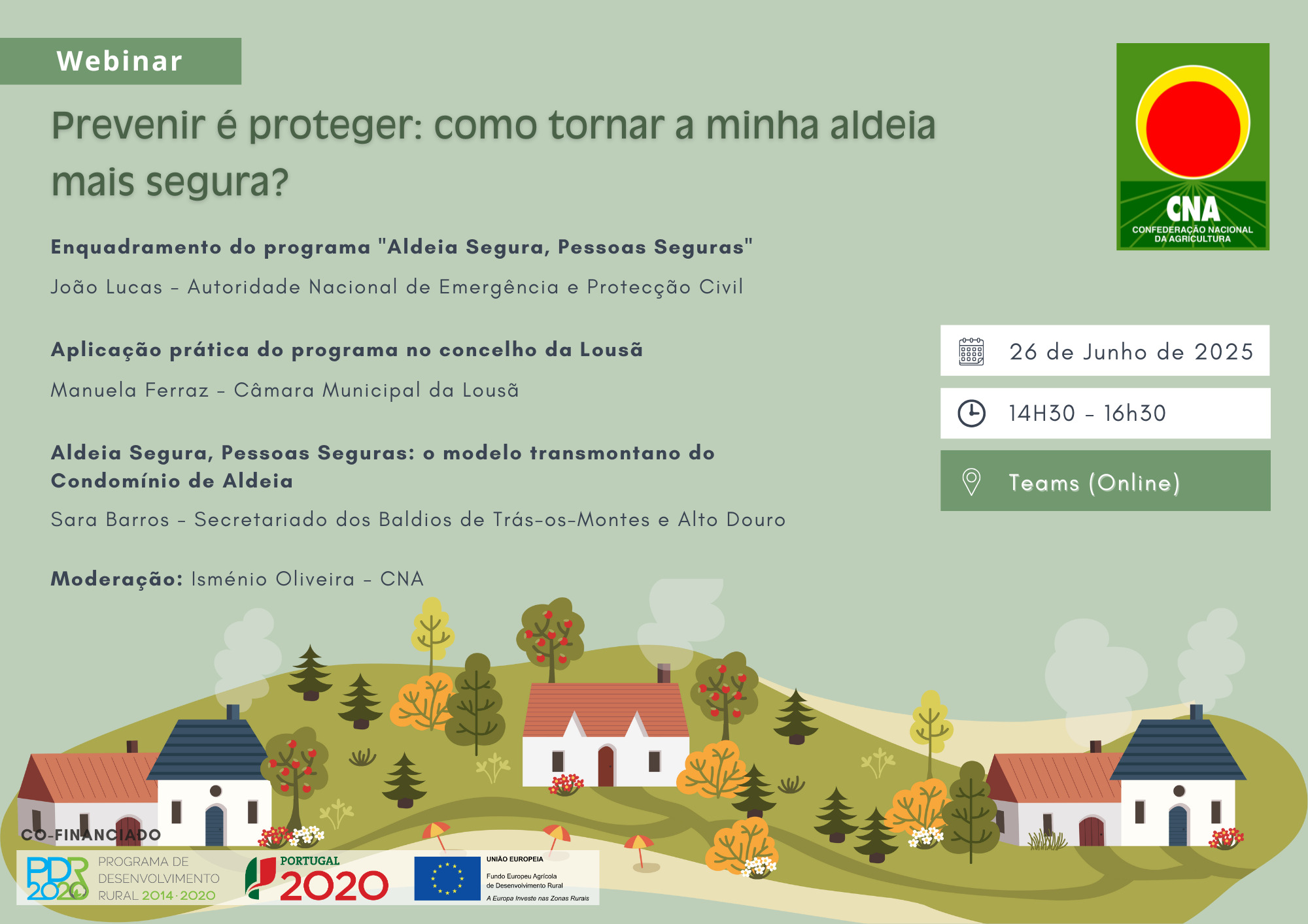 cartaz webinar