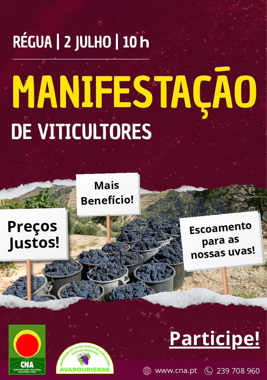 cartaz manif viticultores 1
