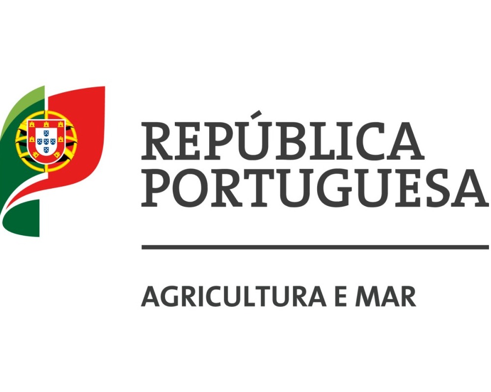 minist&eacute;rio logo