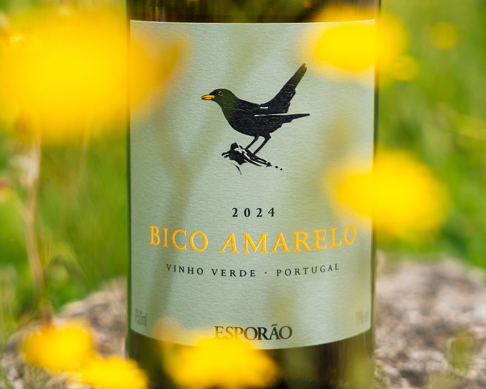 bico amarelo