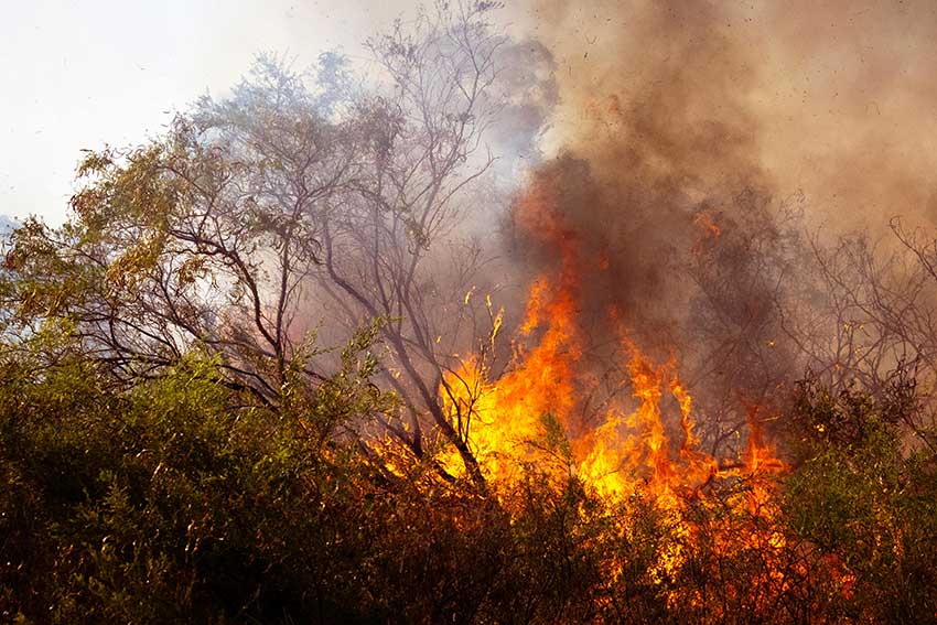 inc&ecirc;ndio