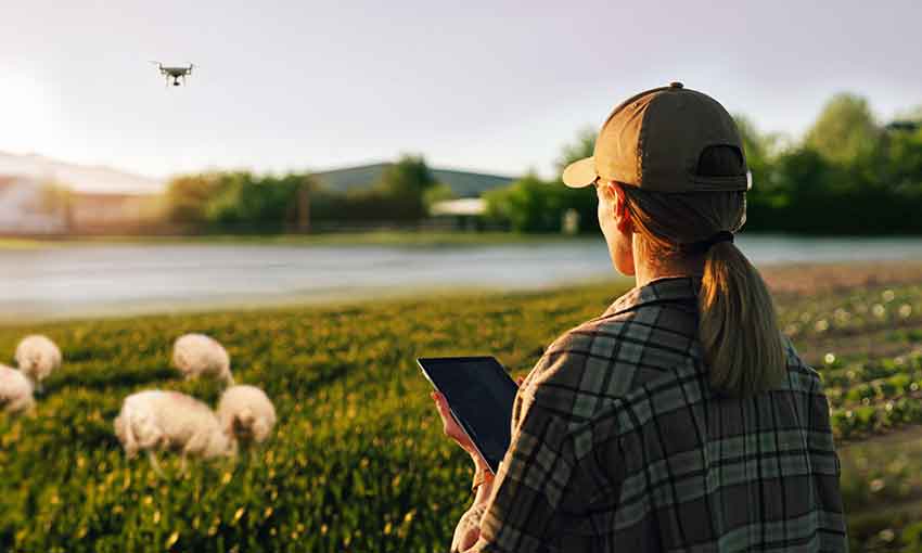 Cr&eacute;dito Agr&iacute;cola