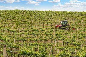 Setor agrícola estima perdas de 500 milhões de euros e CAP critica atraso nos apoios