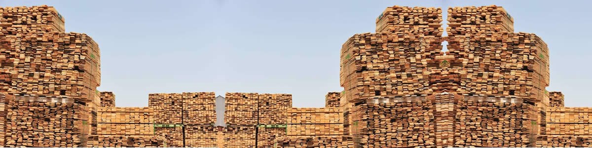 Exportações da fileira do Pinho aumentaram em 2024