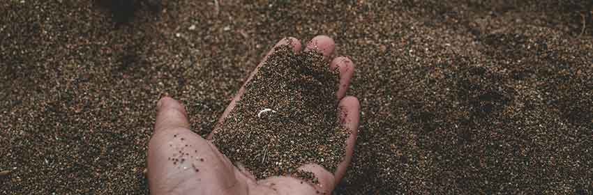 Relatório da IUCN revela que o solo armazena 45% mais carbono do que se estimava anteriormente